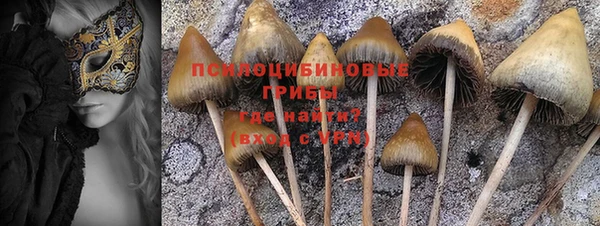 прущий лед Михайловка