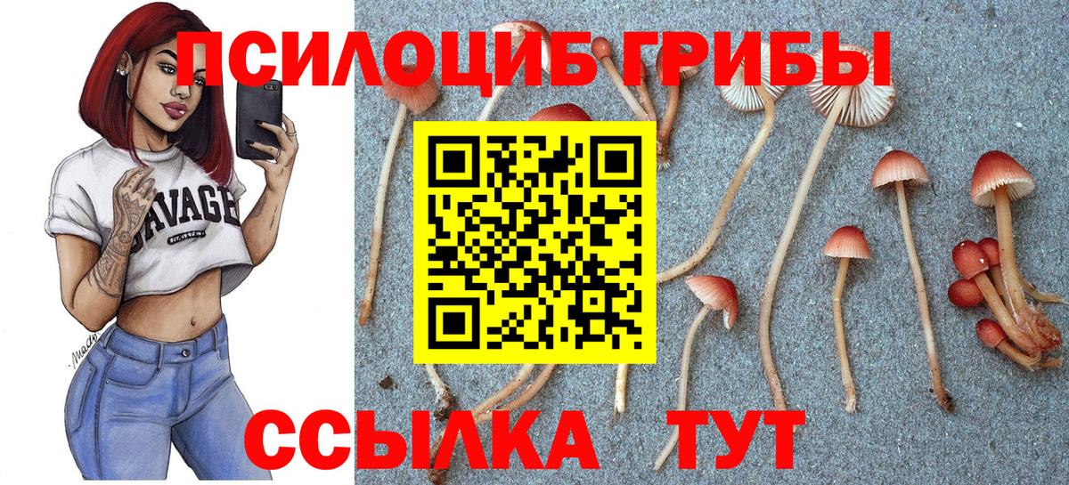 Галлюциногенные грибы мухоморы  Вход с VPN  Мурино 
