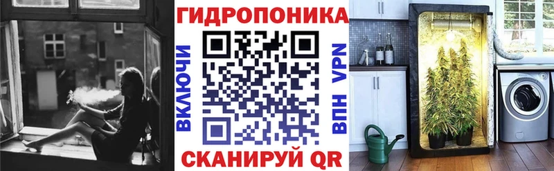 даркнет сайт  Мурино  Бошки Шишки семена 