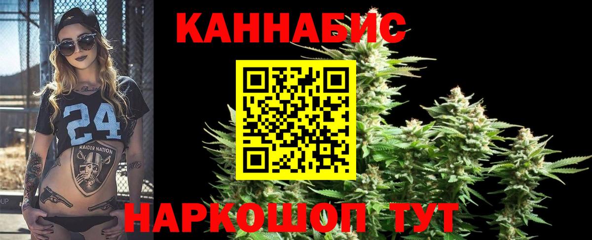 Бошки Шишки индика  Бошки марихуана планчик  Каннабис OG Kush  Вход с VPN  Мурино 